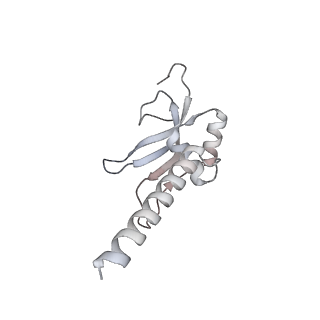 11395_6zse_AM_v2-0
Human mitochondrial ribosome in complex with mRNA, A/P-tRNA and P/E-tRNA