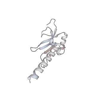 11395_6zse_AM_v4-0
Human mitochondrial ribosome in complex with mRNA, A/P-tRNA and P/E-tRNA