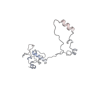 11395_6zse_AO_v1-0
Human mitochondrial ribosome in complex with mRNA, A/P-tRNA and P/E-tRNA