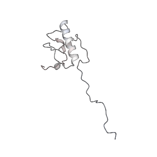 11395_6zse_AP_v1-0
Human mitochondrial ribosome in complex with mRNA, A/P-tRNA and P/E-tRNA