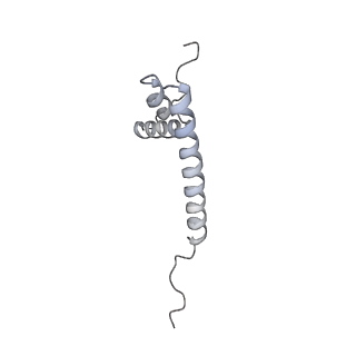 11395_6zse_AQ_v1-0
Human mitochondrial ribosome in complex with mRNA, A/P-tRNA and P/E-tRNA