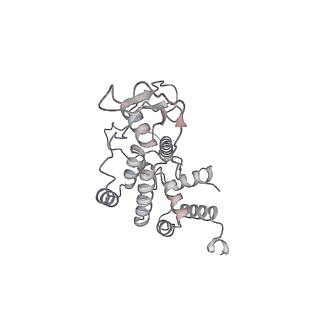 11395_6zse_AR_v1-0
Human mitochondrial ribosome in complex with mRNA, A/P-tRNA and P/E-tRNA