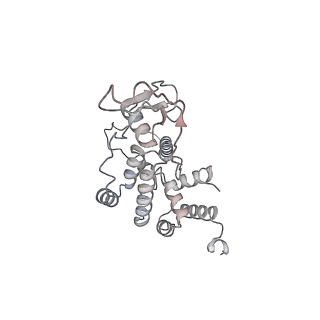 11395_6zse_AR_v2-0
Human mitochondrial ribosome in complex with mRNA, A/P-tRNA and P/E-tRNA