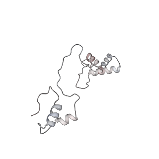 11395_6zse_AS_v2-0
Human mitochondrial ribosome in complex with mRNA, A/P-tRNA and P/E-tRNA