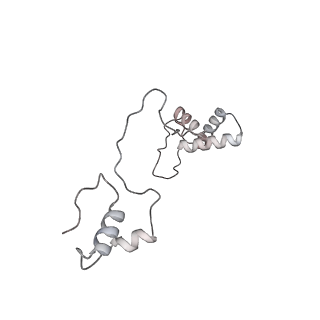 11395_6zse_AS_v3-0
Human mitochondrial ribosome in complex with mRNA, A/P-tRNA and P/E-tRNA