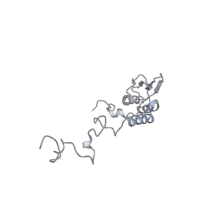 11395_6zse_AT_v1-0
Human mitochondrial ribosome in complex with mRNA, A/P-tRNA and P/E-tRNA