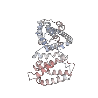 11395_6zse_AV_v1-0
Human mitochondrial ribosome in complex with mRNA, A/P-tRNA and P/E-tRNA