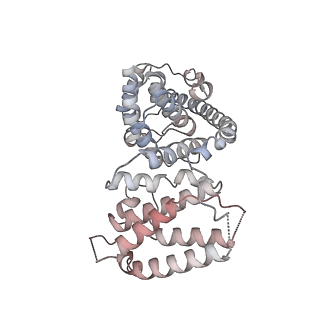 11395_6zse_AV_v2-0
Human mitochondrial ribosome in complex with mRNA, A/P-tRNA and P/E-tRNA