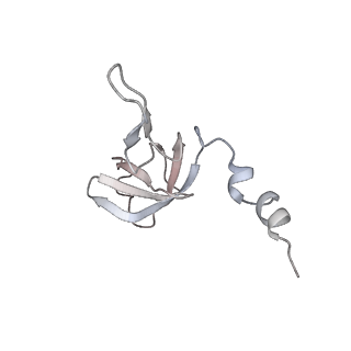 11395_6zse_AW_v1-0
Human mitochondrial ribosome in complex with mRNA, A/P-tRNA and P/E-tRNA