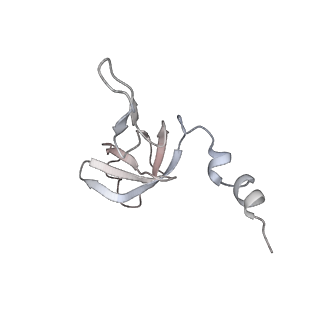 11395_6zse_AW_v2-0
Human mitochondrial ribosome in complex with mRNA, A/P-tRNA and P/E-tRNA