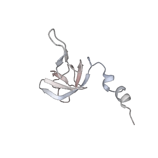 11395_6zse_AW_v3-0
Human mitochondrial ribosome in complex with mRNA, A/P-tRNA and P/E-tRNA