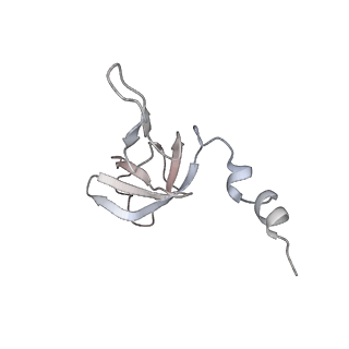 11395_6zse_AW_v4-0
Human mitochondrial ribosome in complex with mRNA, A/P-tRNA and P/E-tRNA