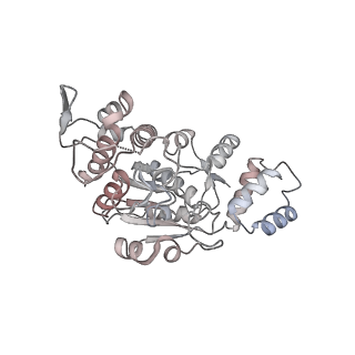 11395_6zse_AX_v1-0
Human mitochondrial ribosome in complex with mRNA, A/P-tRNA and P/E-tRNA