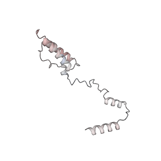 11395_6zse_AY_v1-0
Human mitochondrial ribosome in complex with mRNA, A/P-tRNA and P/E-tRNA