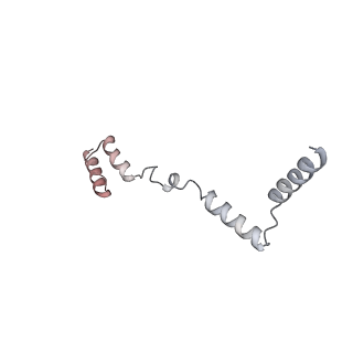 11395_6zse_AZ_v1-0
Human mitochondrial ribosome in complex with mRNA, A/P-tRNA and P/E-tRNA