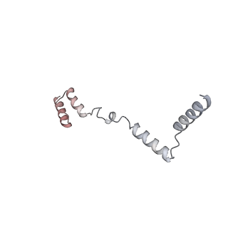 11395_6zse_AZ_v2-0
Human mitochondrial ribosome in complex with mRNA, A/P-tRNA and P/E-tRNA