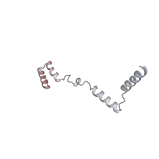 11395_6zse_AZ_v3-0
Human mitochondrial ribosome in complex with mRNA, A/P-tRNA and P/E-tRNA