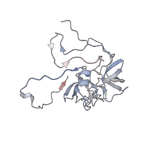 11395_6zse_XD_v1-0
Human mitochondrial ribosome in complex with mRNA, A/P-tRNA and P/E-tRNA