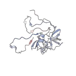 11395_6zse_XD_v2-0
Human mitochondrial ribosome in complex with mRNA, A/P-tRNA and P/E-tRNA