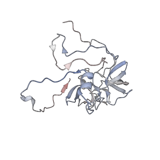 11395_6zse_XD_v3-0
Human mitochondrial ribosome in complex with mRNA, A/P-tRNA and P/E-tRNA