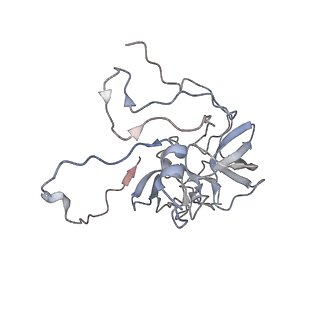 11395_6zse_XD_v4-0
Human mitochondrial ribosome in complex with mRNA, A/P-tRNA and P/E-tRNA