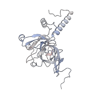 11395_6zse_XE_v1-0
Human mitochondrial ribosome in complex with mRNA, A/P-tRNA and P/E-tRNA