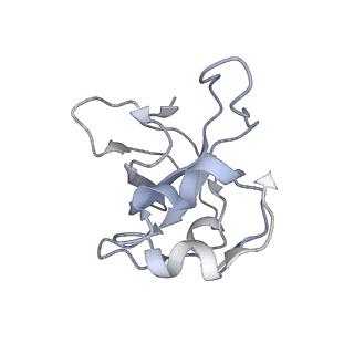 11395_6zse_XL_v1-0
Human mitochondrial ribosome in complex with mRNA, A/P-tRNA and P/E-tRNA