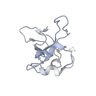 11395_6zse_XL_v3-0
Human mitochondrial ribosome in complex with mRNA, A/P-tRNA and P/E-tRNA