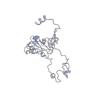 11395_6zse_XM_v1-0
Human mitochondrial ribosome in complex with mRNA, A/P-tRNA and P/E-tRNA