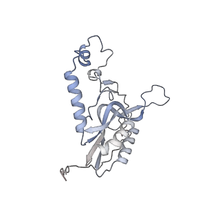 11395_6zse_XN_v1-0
Human mitochondrial ribosome in complex with mRNA, A/P-tRNA and P/E-tRNA