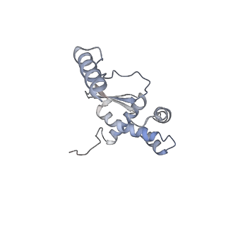 11395_6zse_XO_v1-0
Human mitochondrial ribosome in complex with mRNA, A/P-tRNA and P/E-tRNA