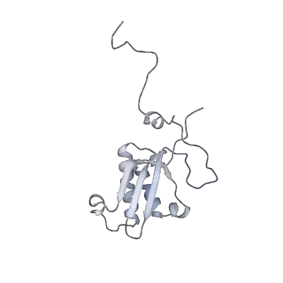 11395_6zse_XP_v1-0
Human mitochondrial ribosome in complex with mRNA, A/P-tRNA and P/E-tRNA