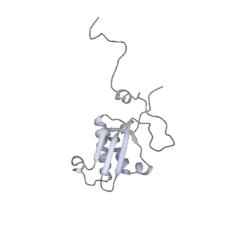 11395_6zse_XP_v2-0
Human mitochondrial ribosome in complex with mRNA, A/P-tRNA and P/E-tRNA