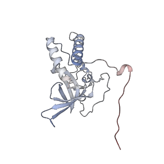 11395_6zse_XQ_v1-0
Human mitochondrial ribosome in complex with mRNA, A/P-tRNA and P/E-tRNA