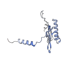 11395_6zse_XT_v1-0
Human mitochondrial ribosome in complex with mRNA, A/P-tRNA and P/E-tRNA