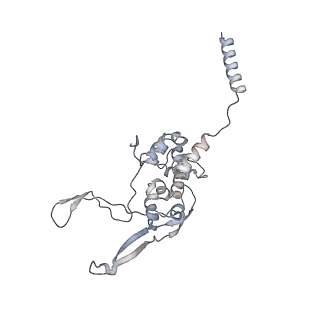 11395_6zse_XX_v1-0
Human mitochondrial ribosome in complex with mRNA, A/P-tRNA and P/E-tRNA