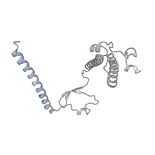 11395_6zse_XY_v1-0
Human mitochondrial ribosome in complex with mRNA, A/P-tRNA and P/E-tRNA