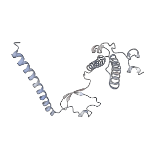 11395_6zse_XY_v2-0
Human mitochondrial ribosome in complex with mRNA, A/P-tRNA and P/E-tRNA
