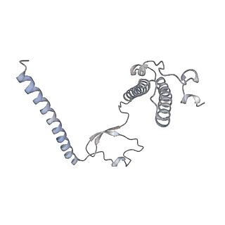 11395_6zse_XY_v3-0
Human mitochondrial ribosome in complex with mRNA, A/P-tRNA and P/E-tRNA