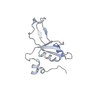 11395_6zse_XZ_v1-0
Human mitochondrial ribosome in complex with mRNA, A/P-tRNA and P/E-tRNA