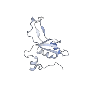 11395_6zse_XZ_v2-0
Human mitochondrial ribosome in complex with mRNA, A/P-tRNA and P/E-tRNA