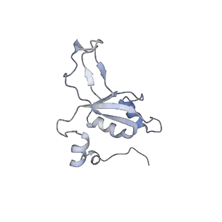 11395_6zse_XZ_v3-0
Human mitochondrial ribosome in complex with mRNA, A/P-tRNA and P/E-tRNA