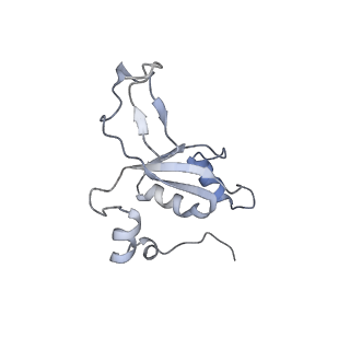 11395_6zse_XZ_v4-0
Human mitochondrial ribosome in complex with mRNA, A/P-tRNA and P/E-tRNA
