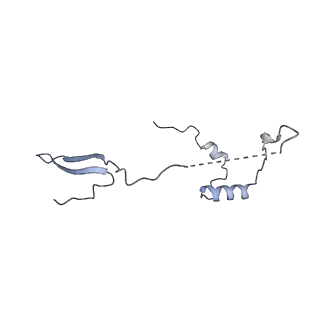 11395_6zse_a_v1-0
Human mitochondrial ribosome in complex with mRNA, A/P-tRNA and P/E-tRNA