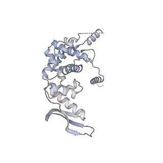 11395_6zse_c_v1-0
Human mitochondrial ribosome in complex with mRNA, A/P-tRNA and P/E-tRNA