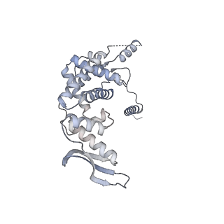 11395_6zse_c_v3-0
Human mitochondrial ribosome in complex with mRNA, A/P-tRNA and P/E-tRNA