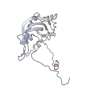 11395_6zse_d_v1-0
Human mitochondrial ribosome in complex with mRNA, A/P-tRNA and P/E-tRNA