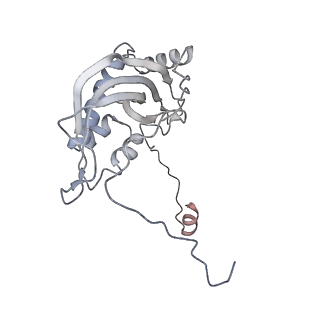 11395_6zse_d_v2-0
Human mitochondrial ribosome in complex with mRNA, A/P-tRNA and P/E-tRNA