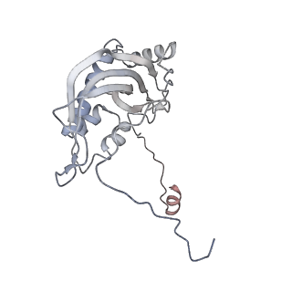 11395_6zse_d_v3-0
Human mitochondrial ribosome in complex with mRNA, A/P-tRNA and P/E-tRNA