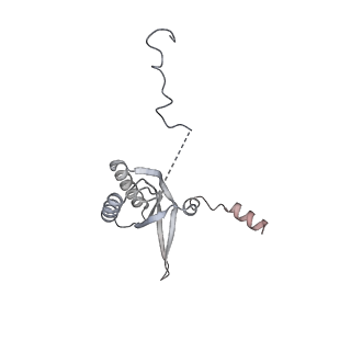 11395_6zse_f_v1-0
Human mitochondrial ribosome in complex with mRNA, A/P-tRNA and P/E-tRNA